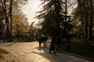 پاییز در کاخ موزه نیاوران