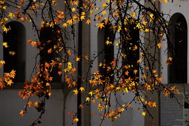 پاییز در کاخ موزه نیاوران