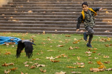پاییز در کاخ موزه نیاوران