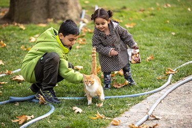 پاییز در کاخ موزه نیاوران