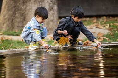 پاییز در کاخ موزه نیاوران