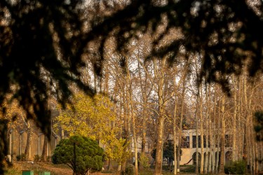 پاییز در کاخ موزه نیاوران