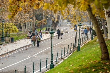 پاییز در کاخ موزه نیاوران