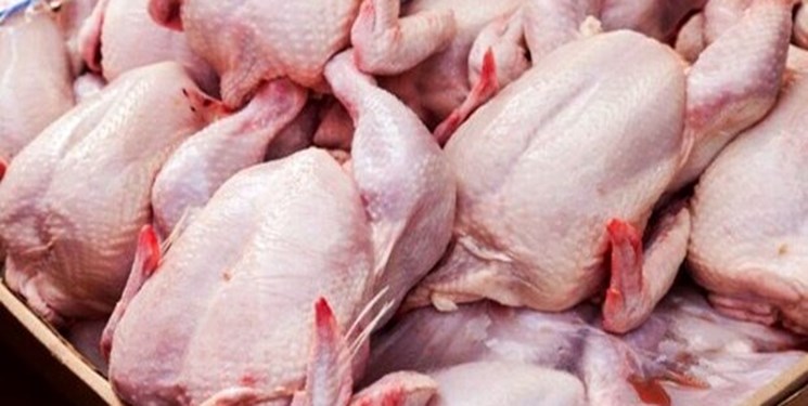 توزیع ۱۹ تن مرغ گرم در بازار ایلام