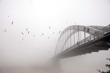 اهواز در مه