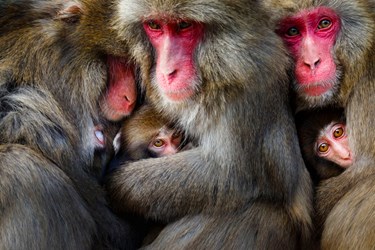 عکاسی طبیعت؛ سرشار از زندگی و پویایی 