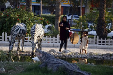 «باغ وحش مصنوعی» بندرعباس