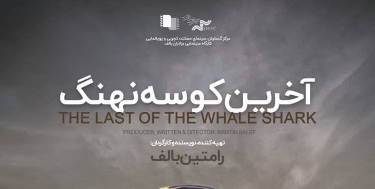 اثر هنرمند بوشهری ۲ عنوان برتر از جشنواره سینما حقیقت کسب کرد