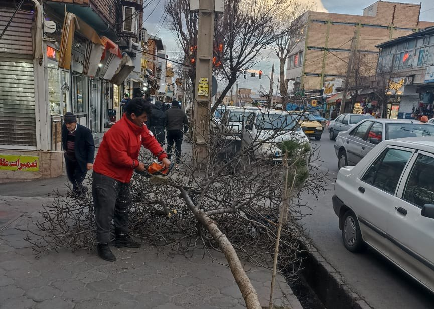 خسارت تندباد شدید مشکین‌شهر + عکس