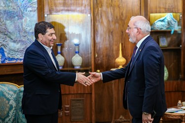دیدار وزیر نفت عراق با محمد مخبر معاون اول