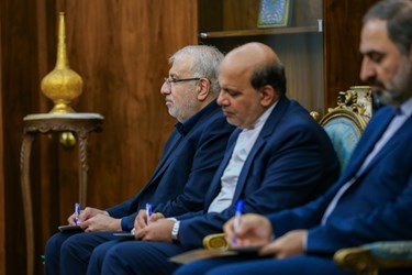 دیدار وزیر نفت عراق با محمد مخبر معاون اول