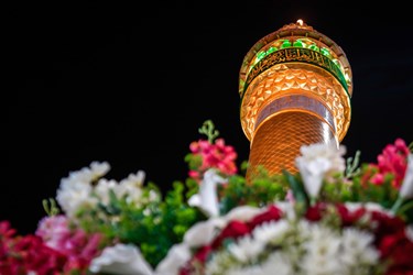 نجف اشرف در آستانه ولادت حضرت زهرا(س)