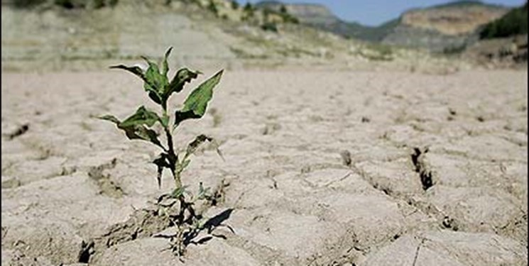 خشکسالی، مهمترین معضل استان یزد