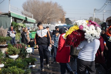 حضور مردم برای خرید گل در آستانه روز مادر در بازار گل محلاتی تهران،
سه شنبه 12 دی 1402