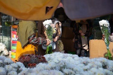 یک خانم درحال خرید گل به مناسبت روز مادر در بازار گل محلاتی  تهران،
سه شنبه 12 دی 1402