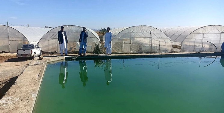 احداث ۱۲۳ باب استخر ذخیره آب کشاورزی در سیستان و بلوچستان