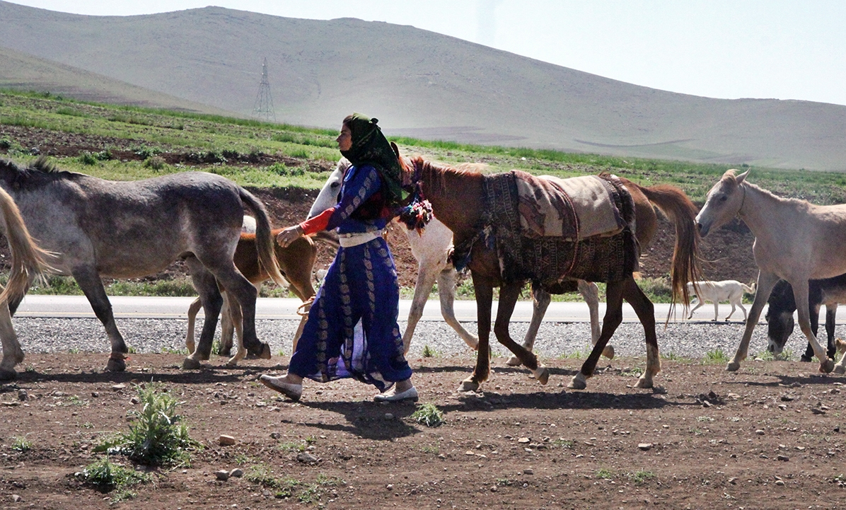 «ایل زوله»؛ حکایتی از عشایر سرگردان بین مبدا و مقصد