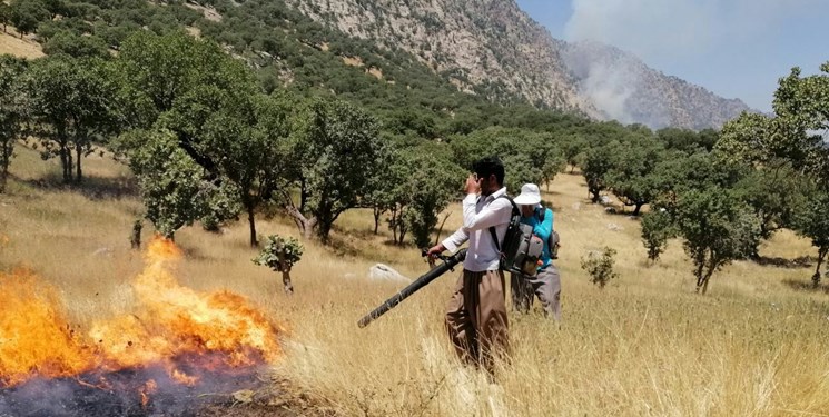 یک هکتار از جنگل‌های شهرستان نور دچار آتش‌سوزی شد