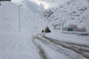 بارش برف در «جاده چالوس»