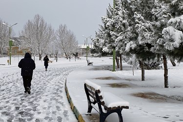 برف در «خوی»
