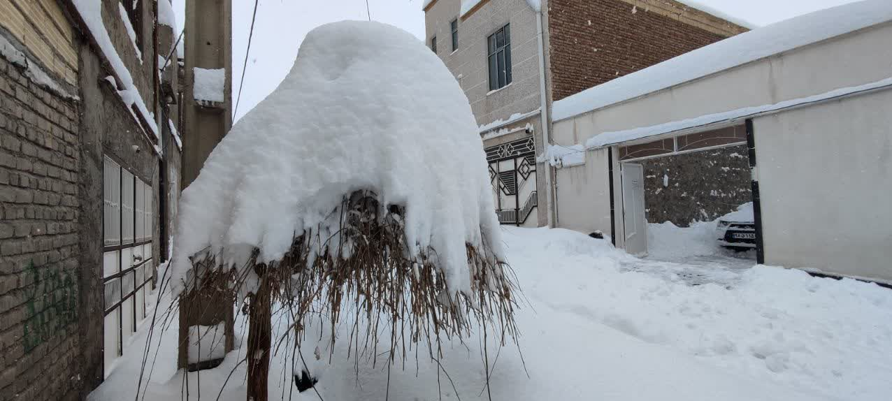 برف در مشکین‌شهر به 65 سانتی‌متر رسید+ عکس و فیلم