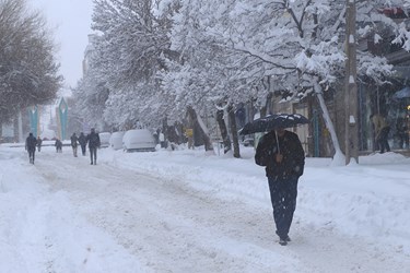 بارش شدید برف در اهر