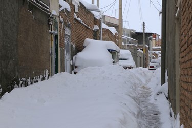 بارش شدید برف در اهر