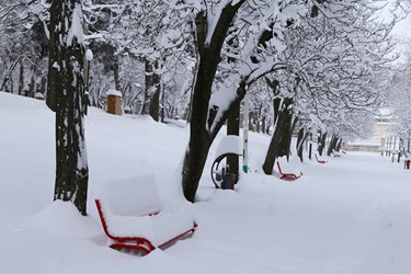 بارش شدید برف در اهر
