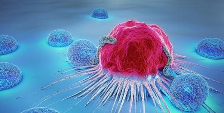 آغاز غربالگری سرطان‌های شایع زنان در جنوب کشور