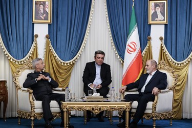 دیدار وزیر خارجه هند با دبیر شورای عالی امنیت ملی