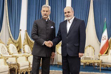 دیدار وزیر خارجه هند با دبیر شورای عالی امنیت ملی