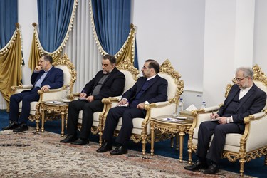 دیدار وزیر خارجه هند با دبیر شورای عالی امنیت ملی
