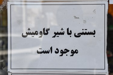پرورش گاومیش در استان خوزستان