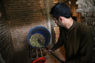 گشت و گذار در «دره آدم خِیل»