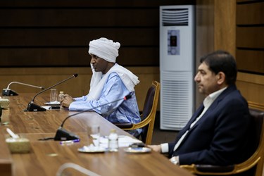 علی لامین زین نخست وزیر نیجر