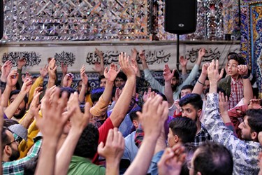 جشن میلاد امیرالمومنین علی (ع) در امامزاده صالح(ع)