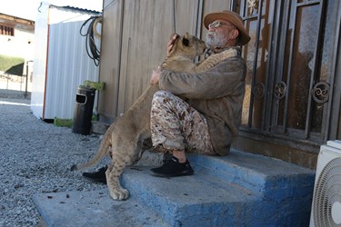 حیوانات «خانه نوری»