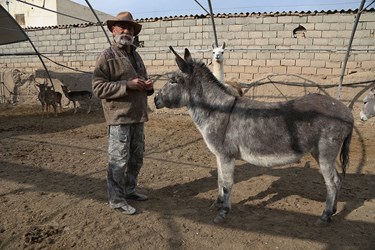 حیوانات «خانه نوری»