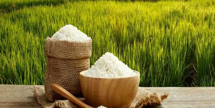 اختصاص ۶۵ هزار میلیارد ریال برای خرید برنج توسط دولت
