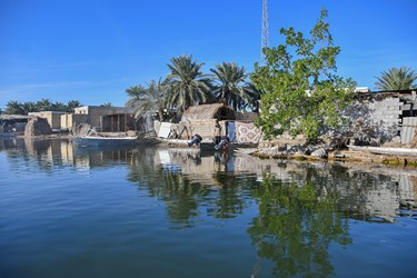 در آستانه روز جهانی تالاب‌ها 