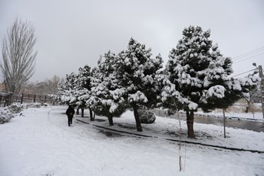  برف در همدان 