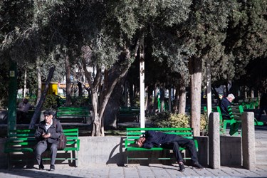چندین مرد در حال گذراندن اوقات فراغت خود در پارک تئاتر شهر تهران هستند. 19 دی 1402